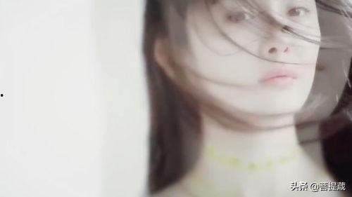 老娱乐圈吃瓜群众,老吃瓜群众揭秘幕后真相  第2张