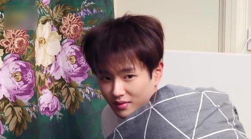 娱乐吃瓜酱少爷是谁 第2张 娱乐吃瓜酱少爷是谁 第2张