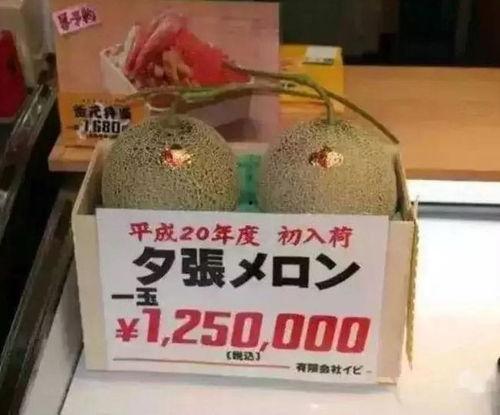 娱乐吃瓜钱 第3张 娱乐吃瓜钱 第3张