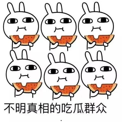 吃瓜娱乐图片头像可爱,可爱吃瓜头像带你领略趣味生活  第3张