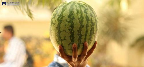 吃瓜娱乐圈什么情况,揭秘吃瓜群众关注的最新热点事件 第3张 吃瓜娱乐圈什么情况,揭秘吃瓜群众关注的最新热点事件 第3张